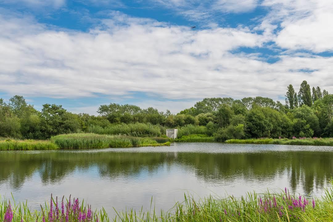 WWT London Wetland Centre
