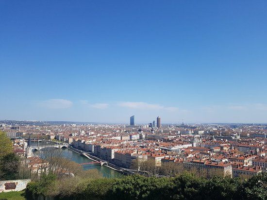 Jardin des Curiosites