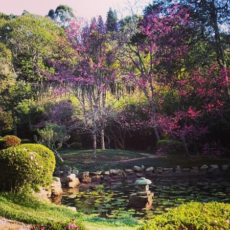 Makaranga Botanical Garden