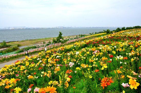 Osaka Maishima Yurien Garden