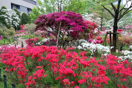 Heisei Tsutsuji Park