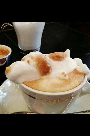 The Sanctuary Coffee House