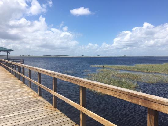 Twin Oaks Conservation