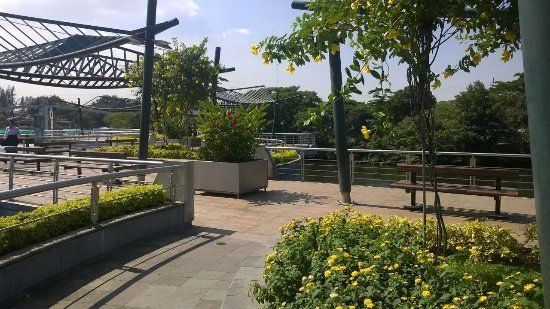 Puente Zigzag- Parque