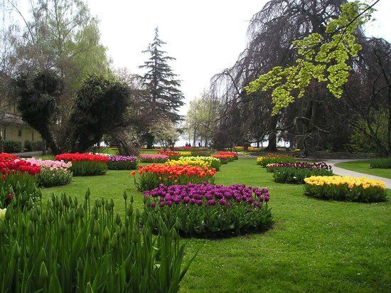 Botanische tuinen