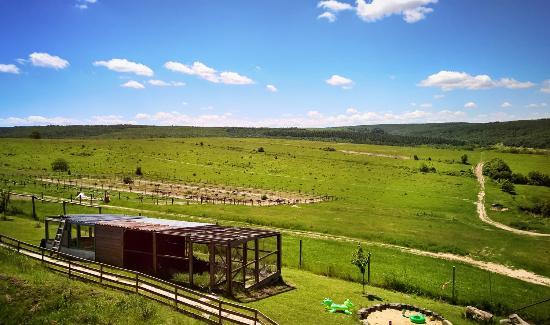 Ostrich Valley