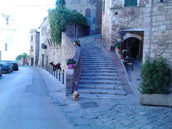 Bar dei Priori