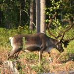 Xue Yuan Dong Lai Shun