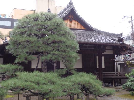 Myoshinji Temple
