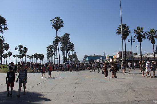 Skatepark de Venice