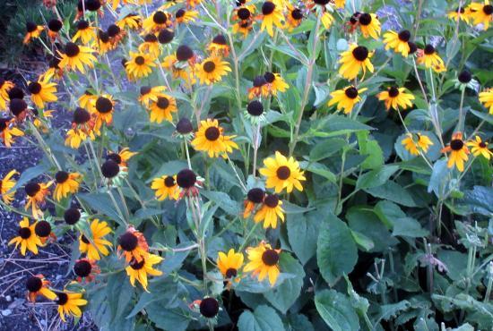 Gellatly Heritage Park