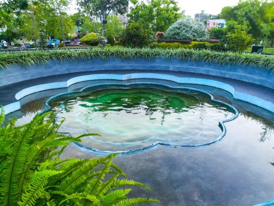 Urban Wetland Park