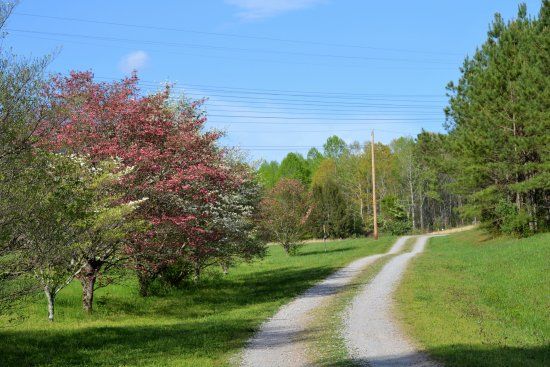 University of Tennessee Arboretum