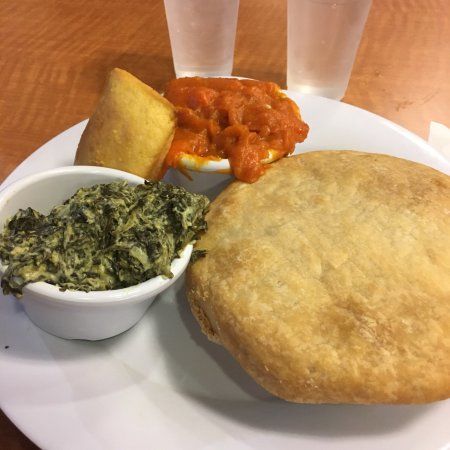Pembroke Pines Bald Eagle Nest