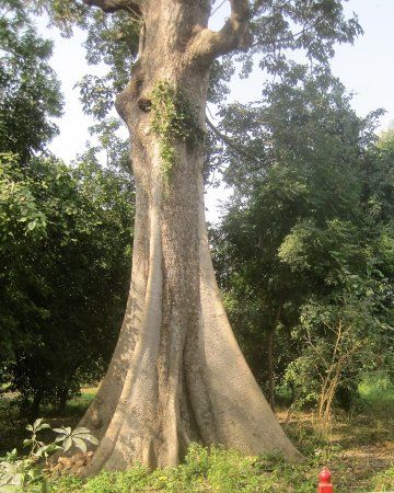 St. Mary's Cathedral