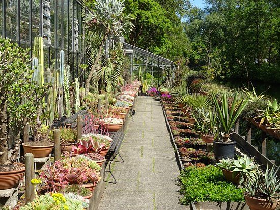 Hortus Botanicus Vrije Universiteit Amsterdam