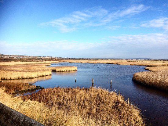 Farlington Marshes Wildlife Reserve