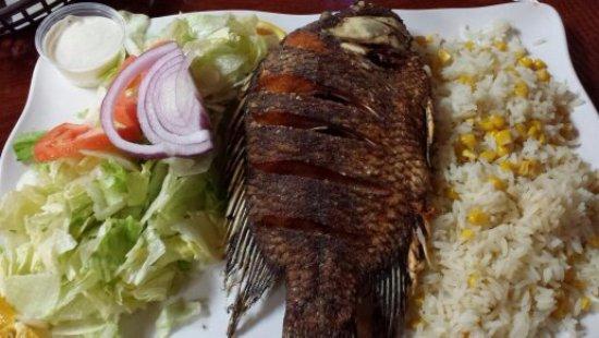 Ostioneria Colima