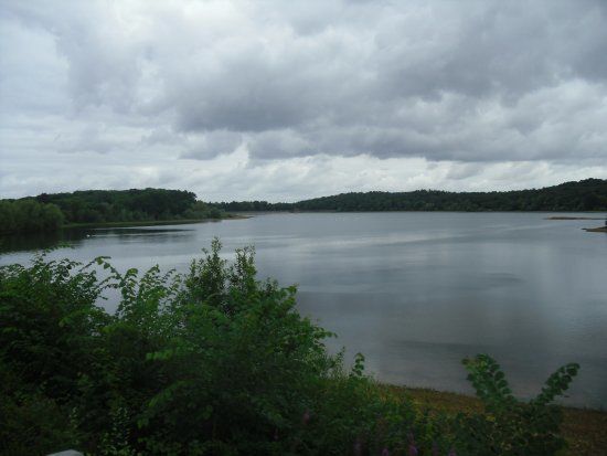 Swithland Reservoir