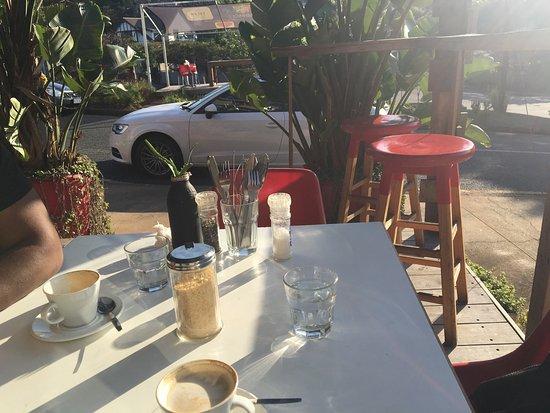 The Coffee Tree