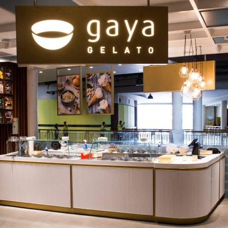 Gaya Gelato