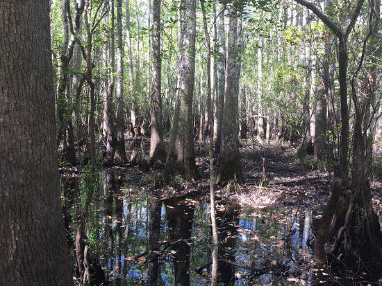 Waccamaw River Park
