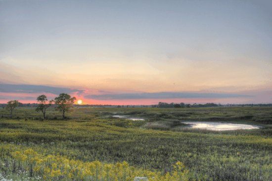 Springbrook Prairie Forest Preserve