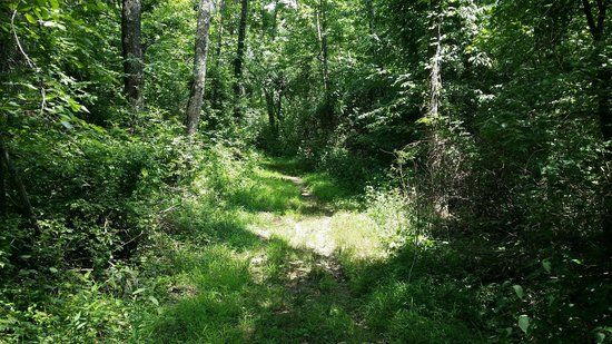 Great Seal State Park