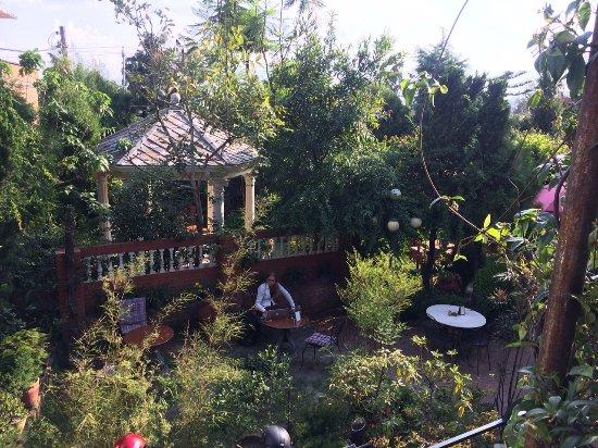 Pauline's Garden