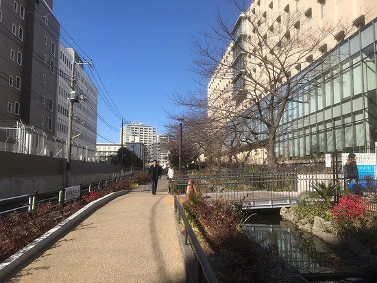 Meguro River Greenway