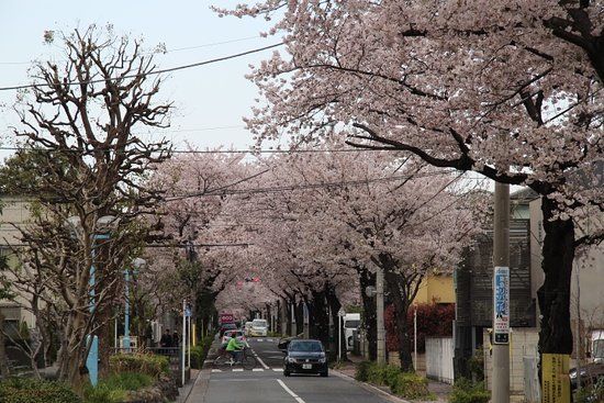 Nishi Yoga Street
