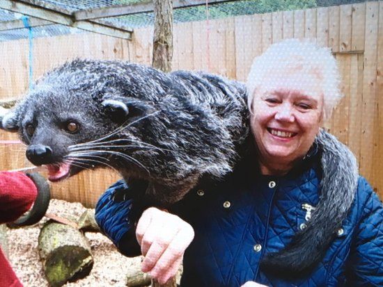 Hoo Farm Animal Kingdom