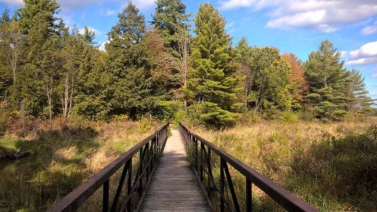 Marshlands Conservation Area