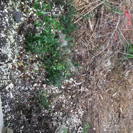 Green's Shell Enclosure Heritage Preserve