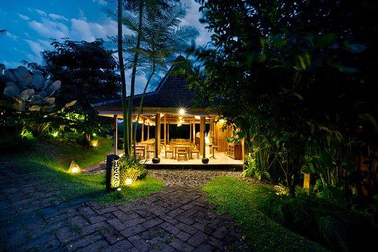 Rasa Restaurant
