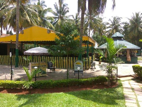 9th Mile Dhaba
