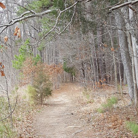 Sandy Creek Park