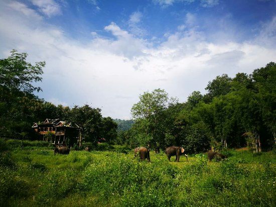 Elephant EcoValley