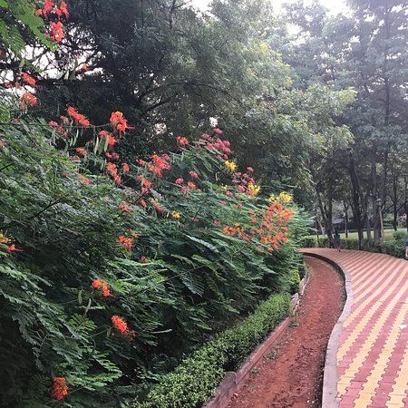 Jogger's Park