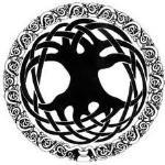 Anoush Restaurant Middle Eastern Cuisine