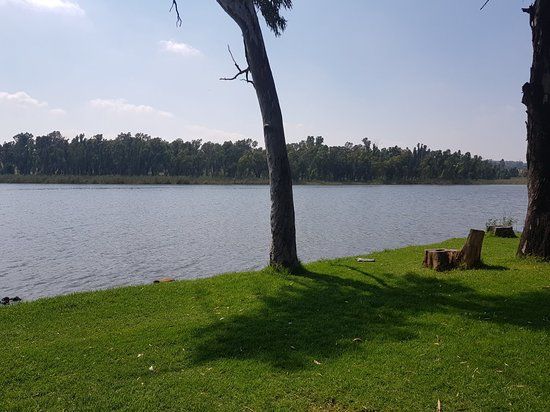 Modderfontein Reserve