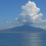 Fortuna Chinese Restaurant