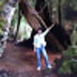 Si Chuan Beef Noodles