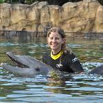 The Kansas Buffet Company