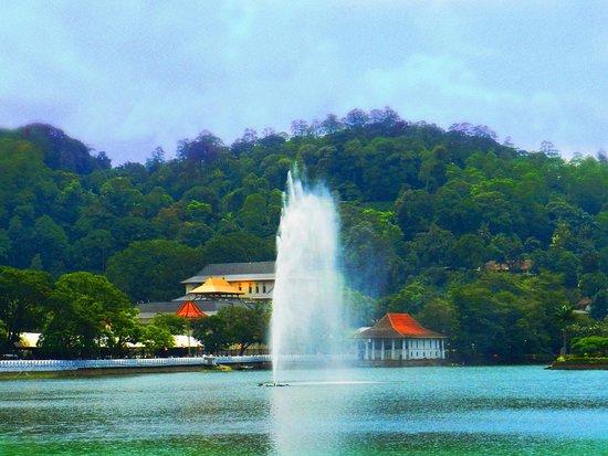 Chutie Restaurant Cafe 1