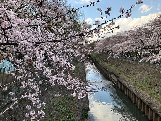 Zenpukuji River Green Space Park