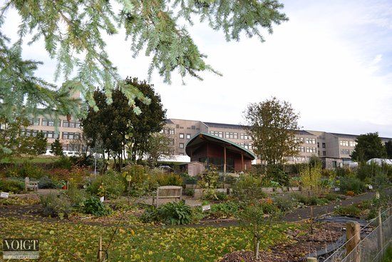 Ninewells Community Garden