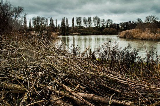 South Norwood Country Park