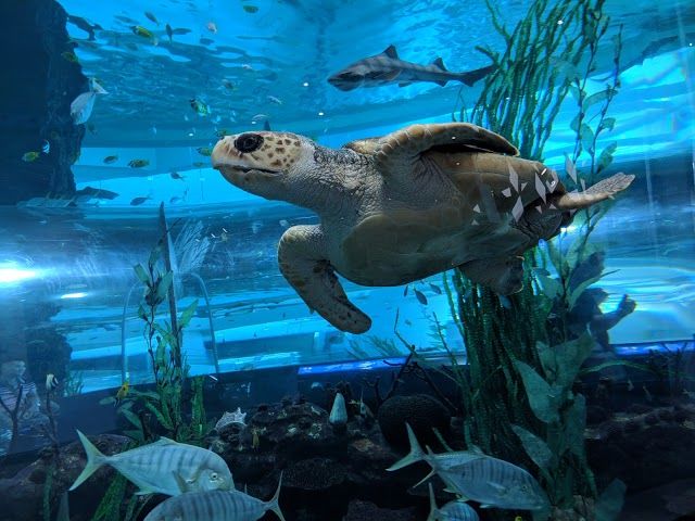 Korea National Maritime Museum