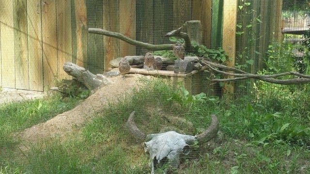 Salisbury Zoological Park